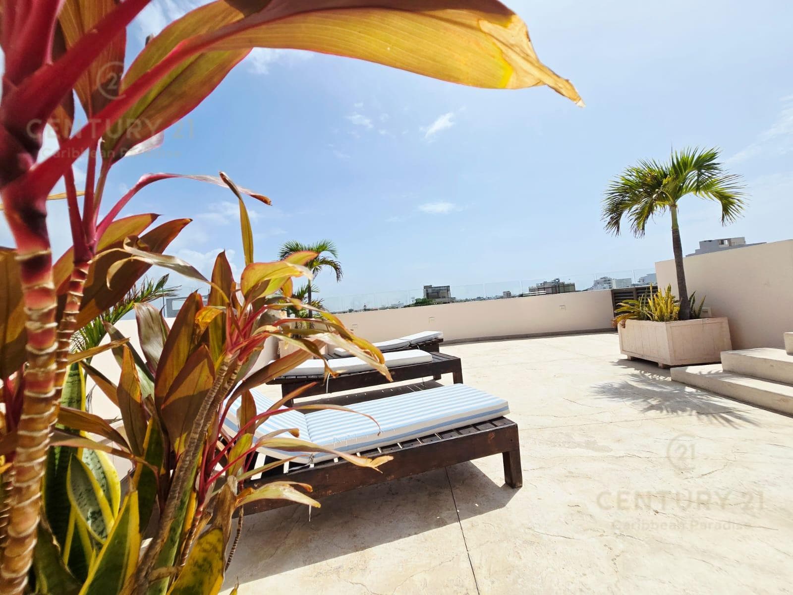 Ground-Floor Apartment for Sale with 2 Bedrooms | Downtown Playa del Carmen | P4621