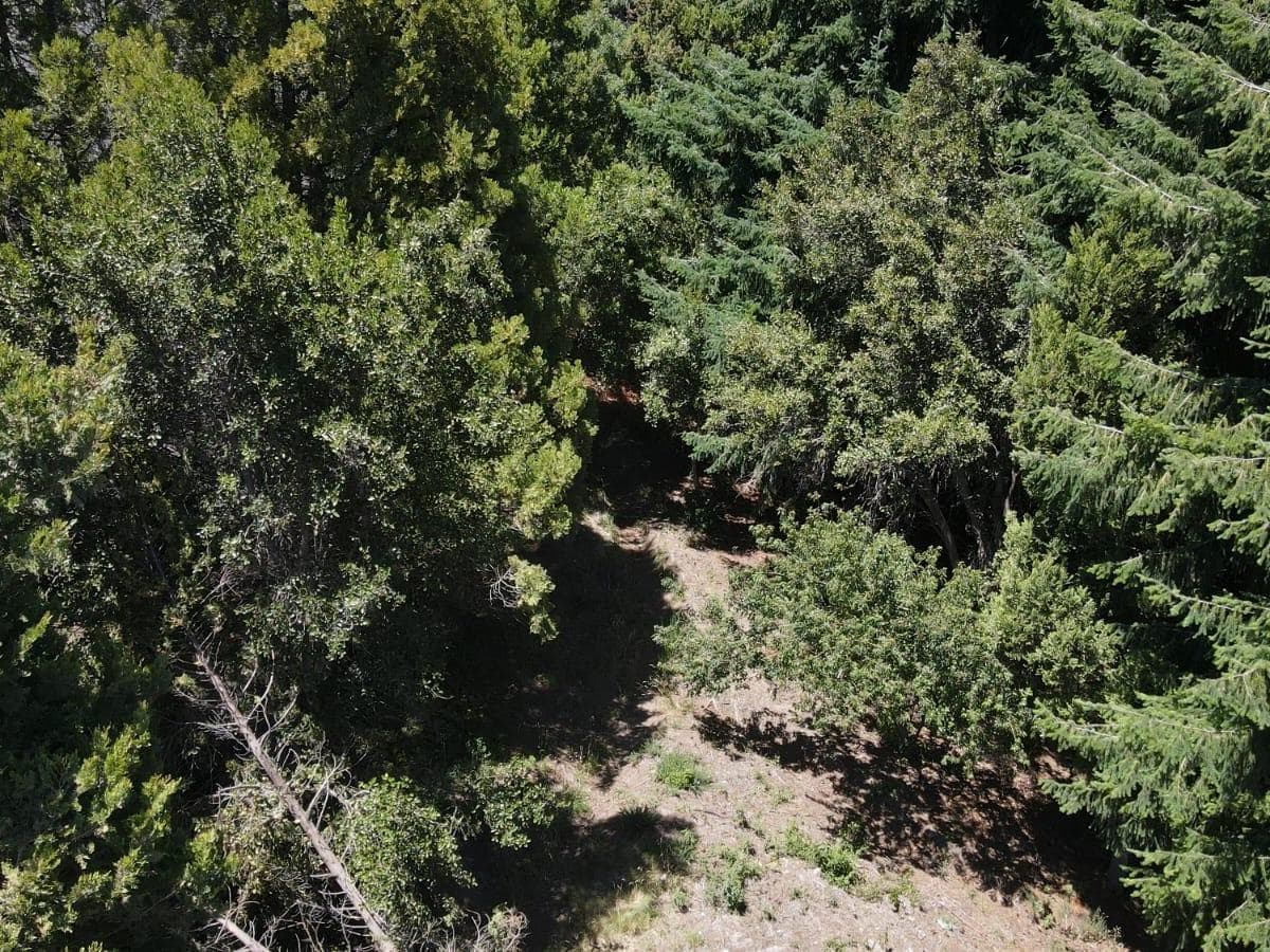 Land in San Carlos de Bariloche