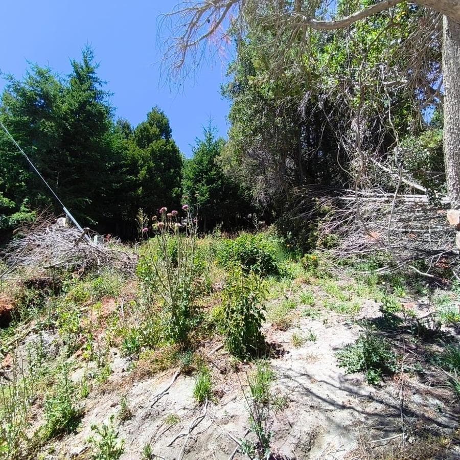 Land in San Carlos de Bariloche