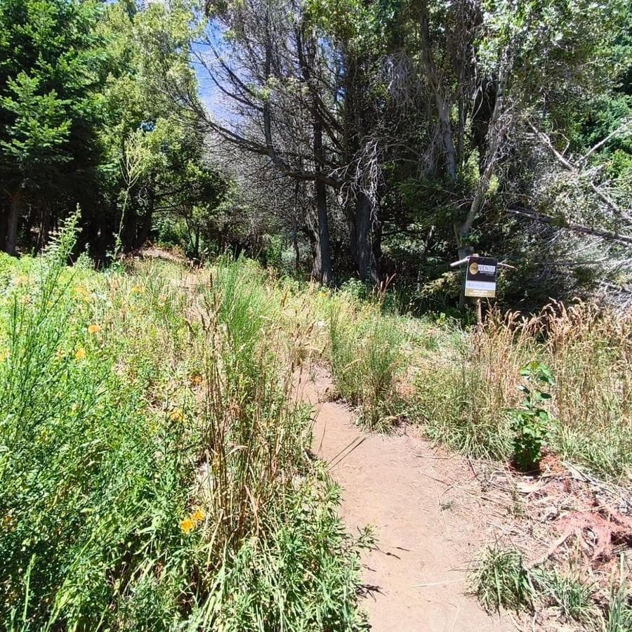 Land in San Carlos de Bariloche