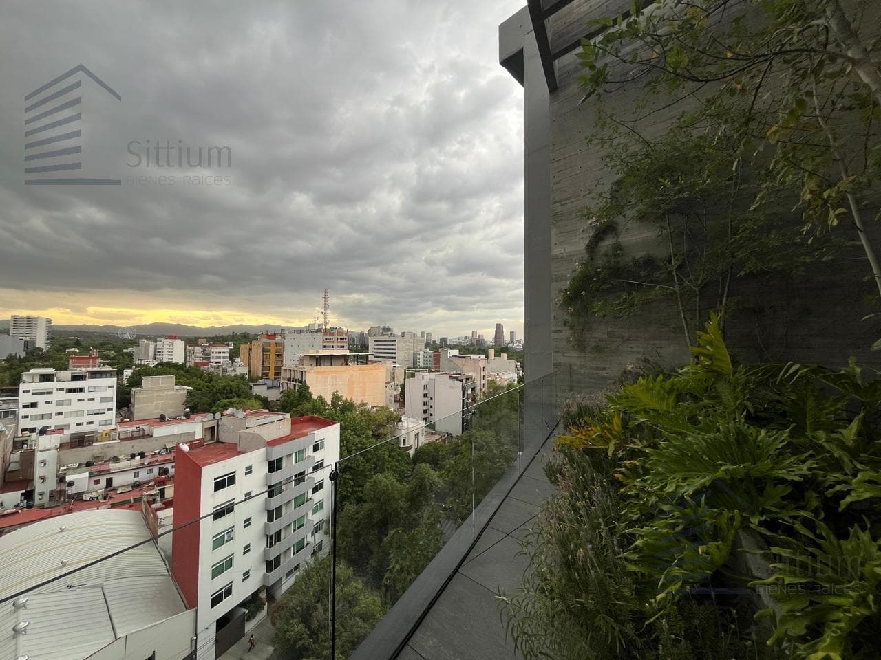 Office for Rent - Roma Norte - 780 m² - 6th Floor
