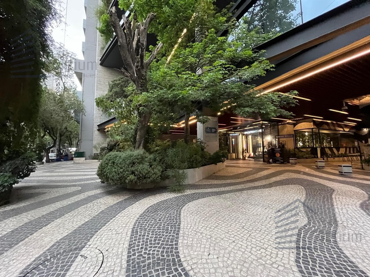 Office for Rent - Roma Norte - 780 m² - 6th Floor