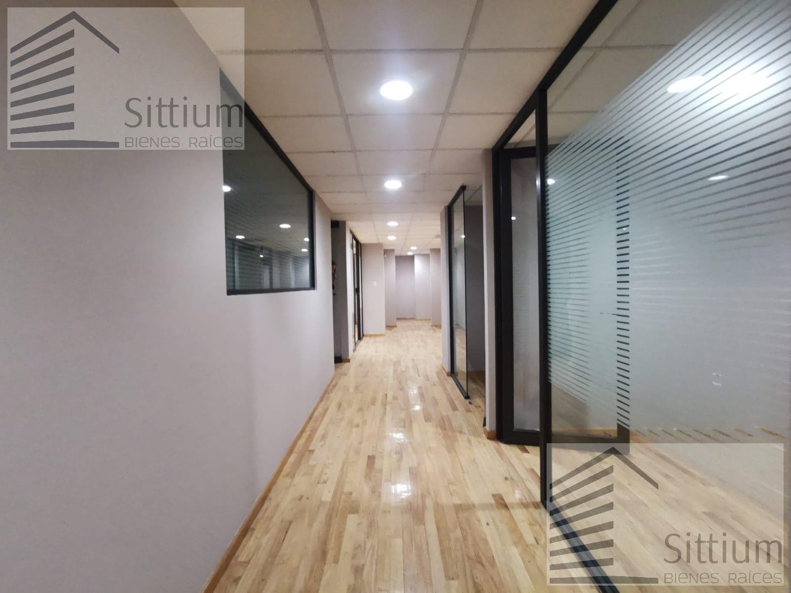 Office for Rent - Anzures - 450 m² - 3rd Floor