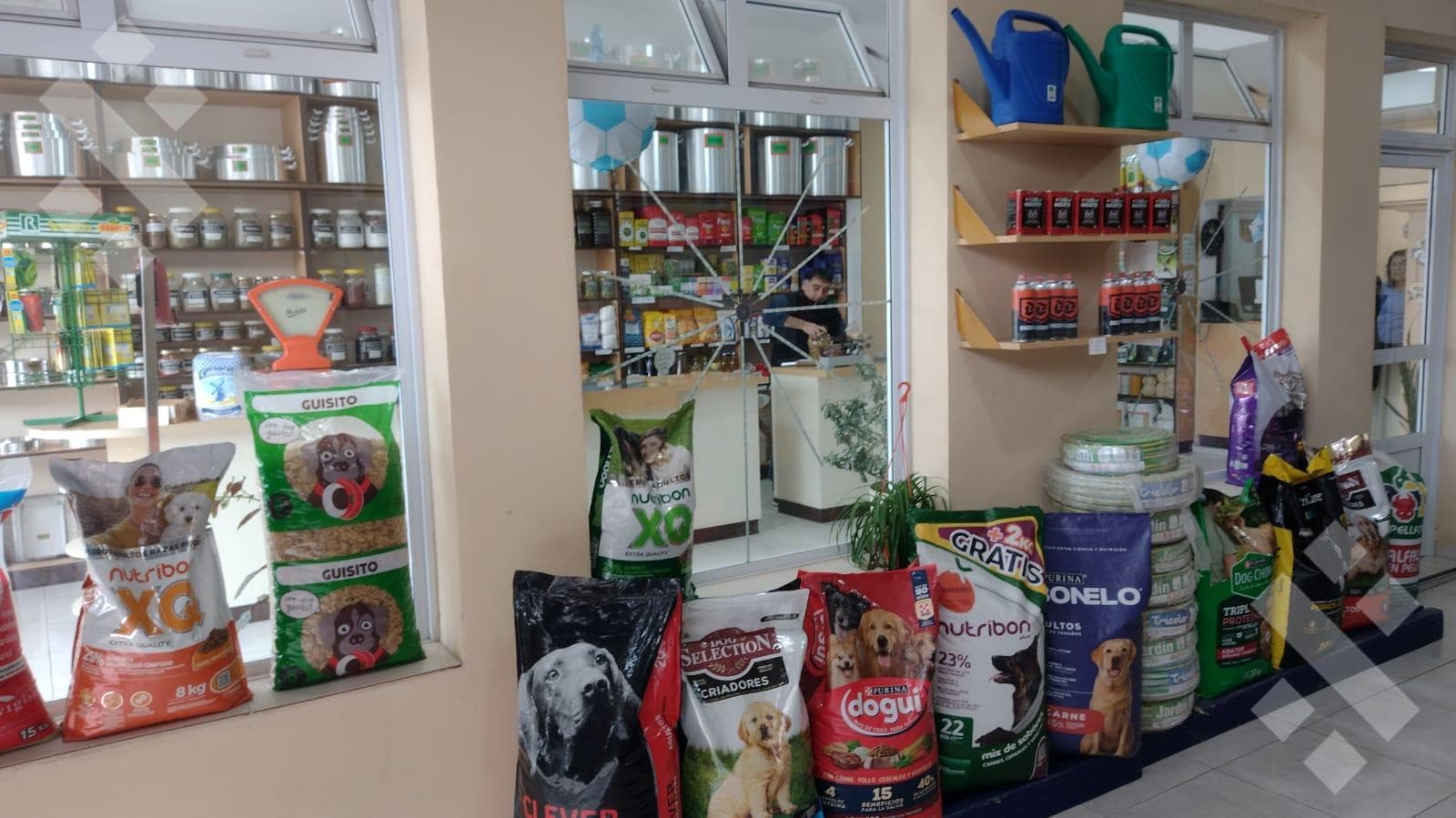 Business for Sale in Cipolletti