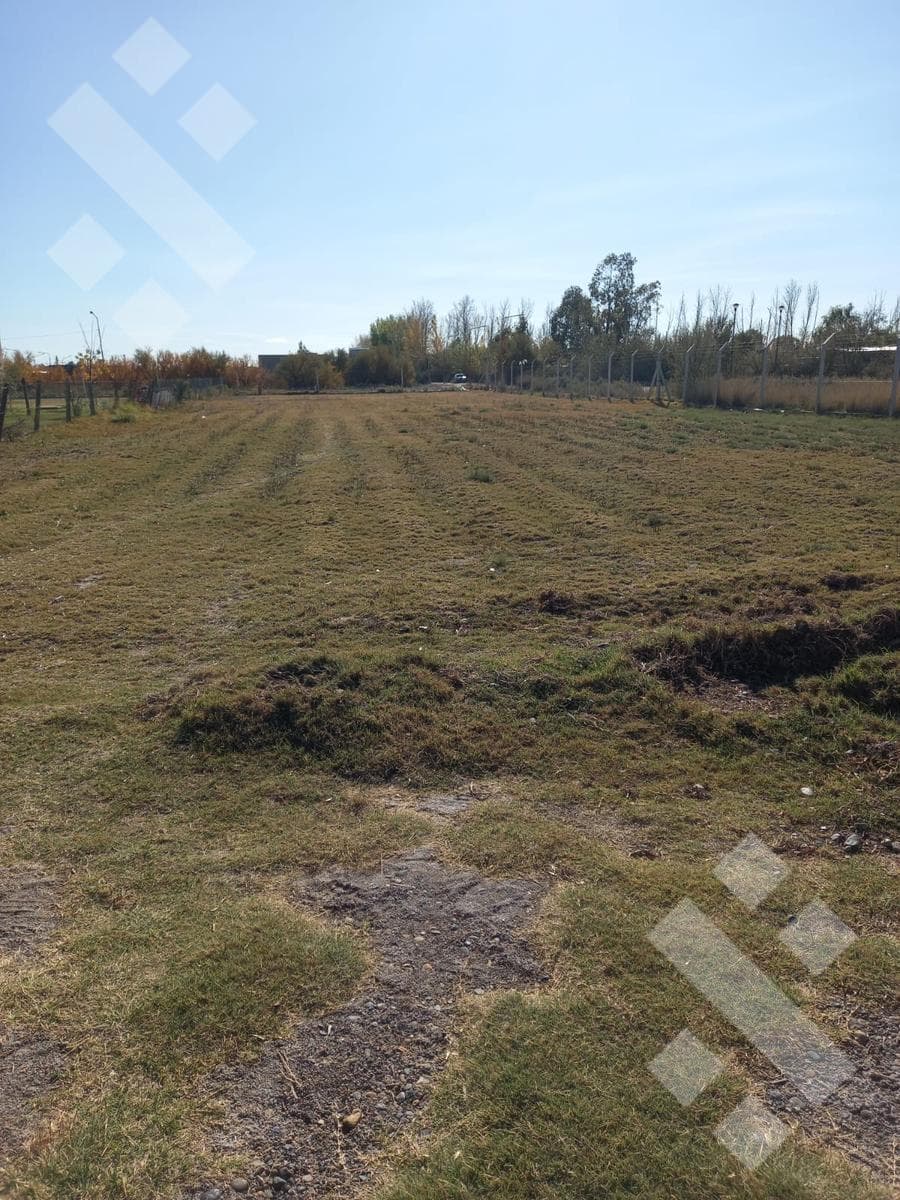 For Sale: Lot - Criollita Street - 902 - General Fernández Oro - Río Negro -