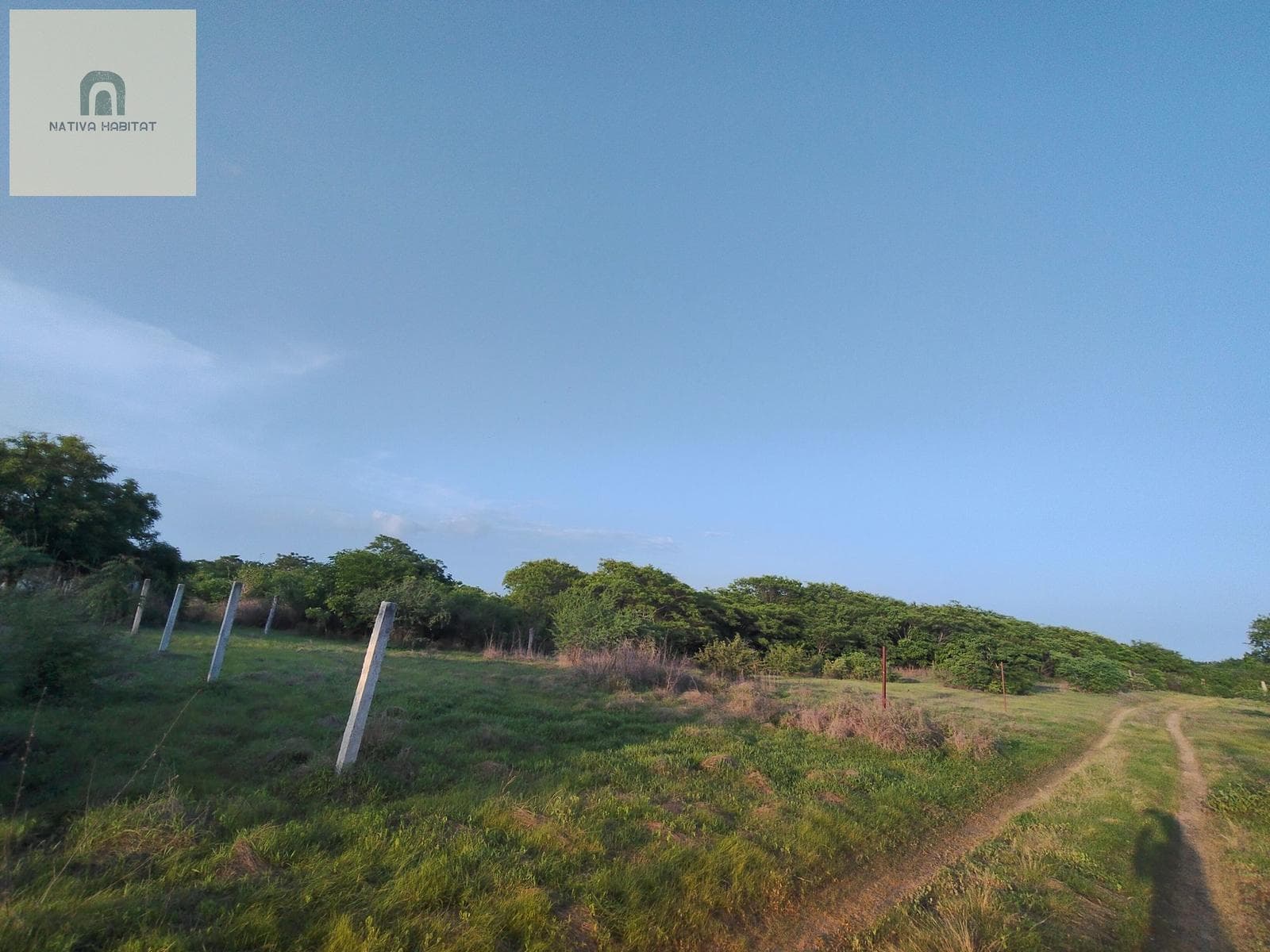 CENTRAL LOT IN SANTA ELENA EL TULE - PUERTO ESCONDIDO