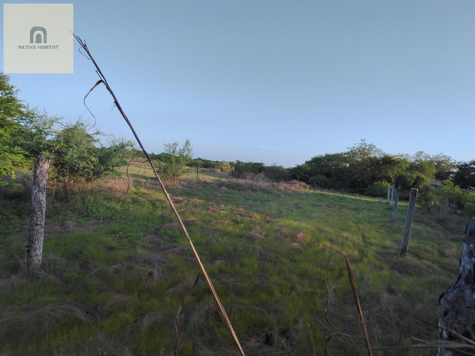 CENTRAL LOT IN SANTA ELENA EL TULE - PUERTO ESCONDIDO