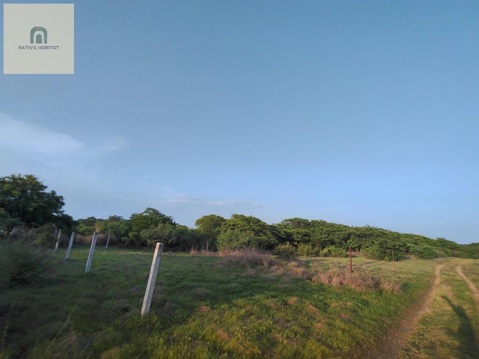 CENTRAL LOT IN SANTA ELENA EL TULE - PUERTO ESCONDIDO