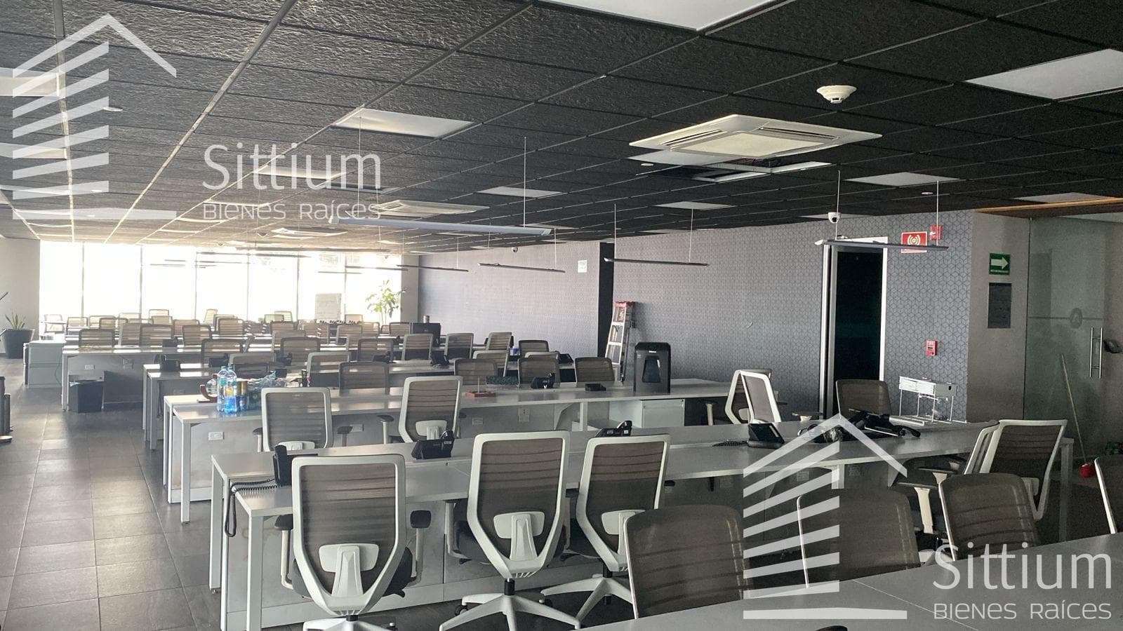 Office for Rent - Reforma - 24th Floor - 750 m2