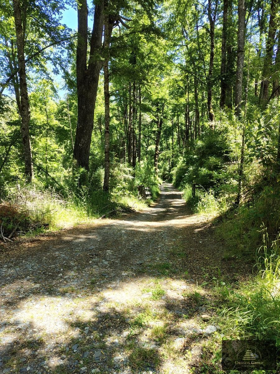 Hectares for sale in Pirehueico, Los Ríos Region, Chile, near the Hua Hum Pass