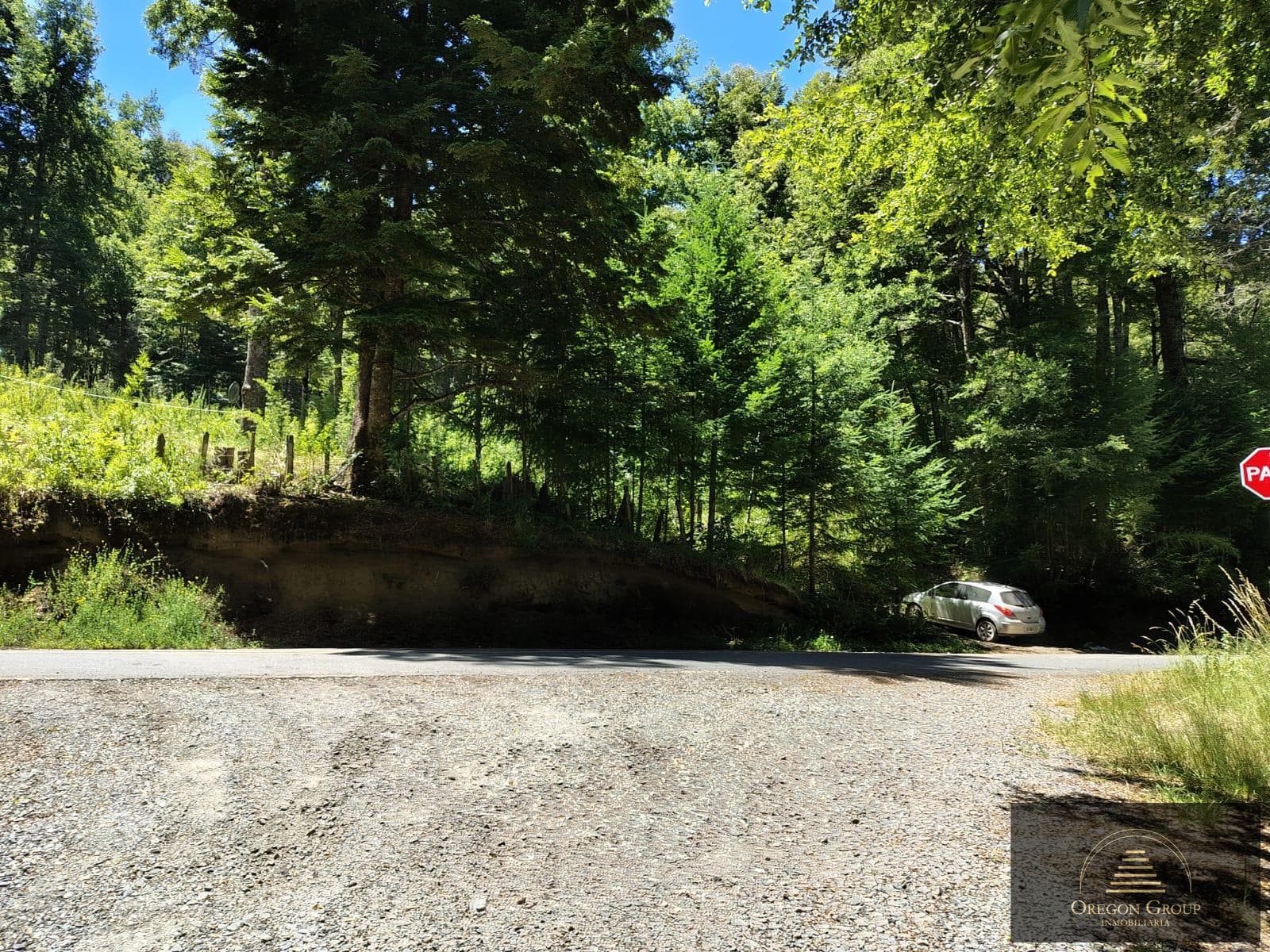 Hectares for sale in Pirehueico, Los Ríos Region, Chile, near the Hua Hum Pass