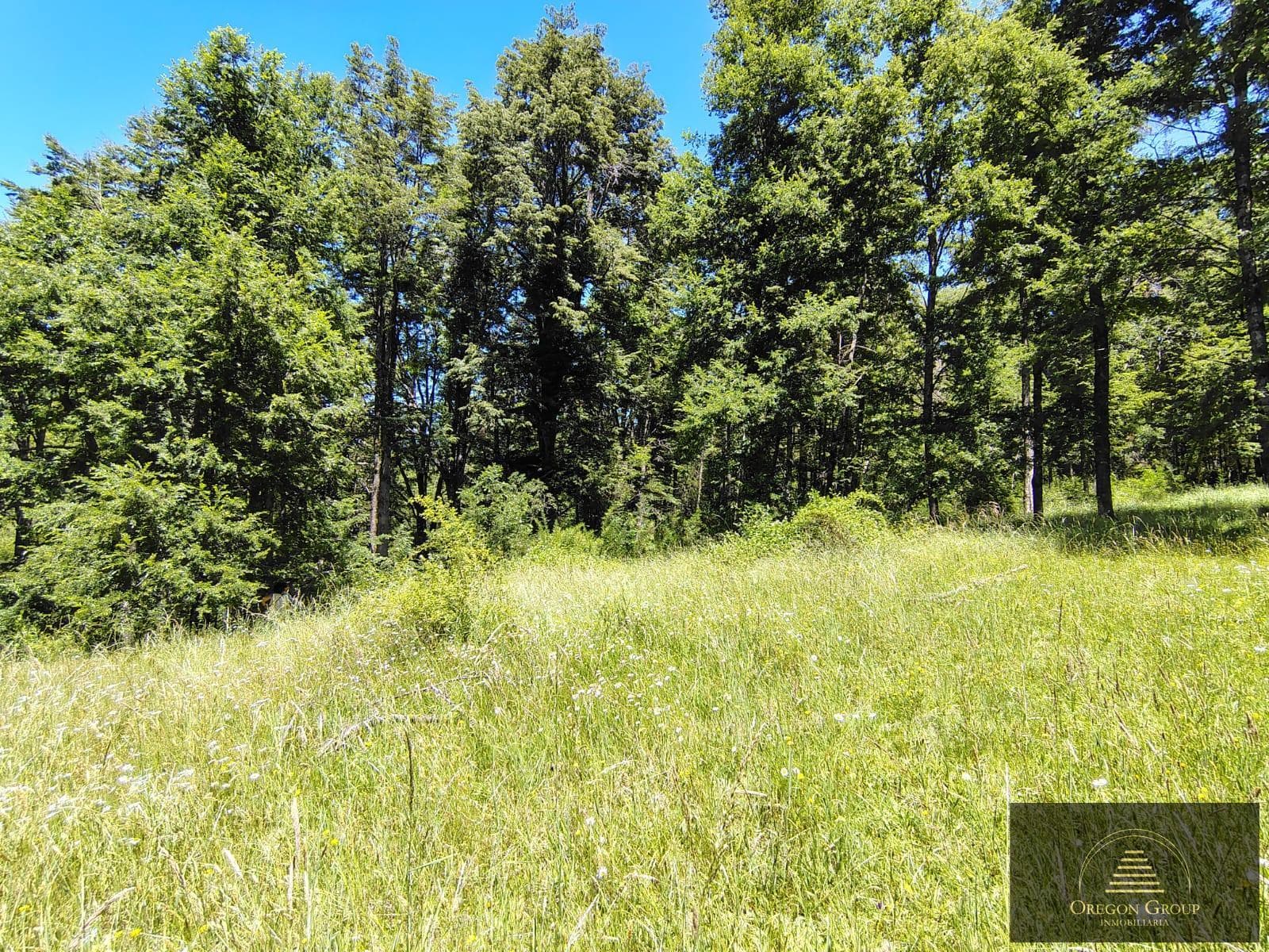 Hectares for sale in Pirehueico, Los Ríos Region, Chile, near the Hua Hum Pass