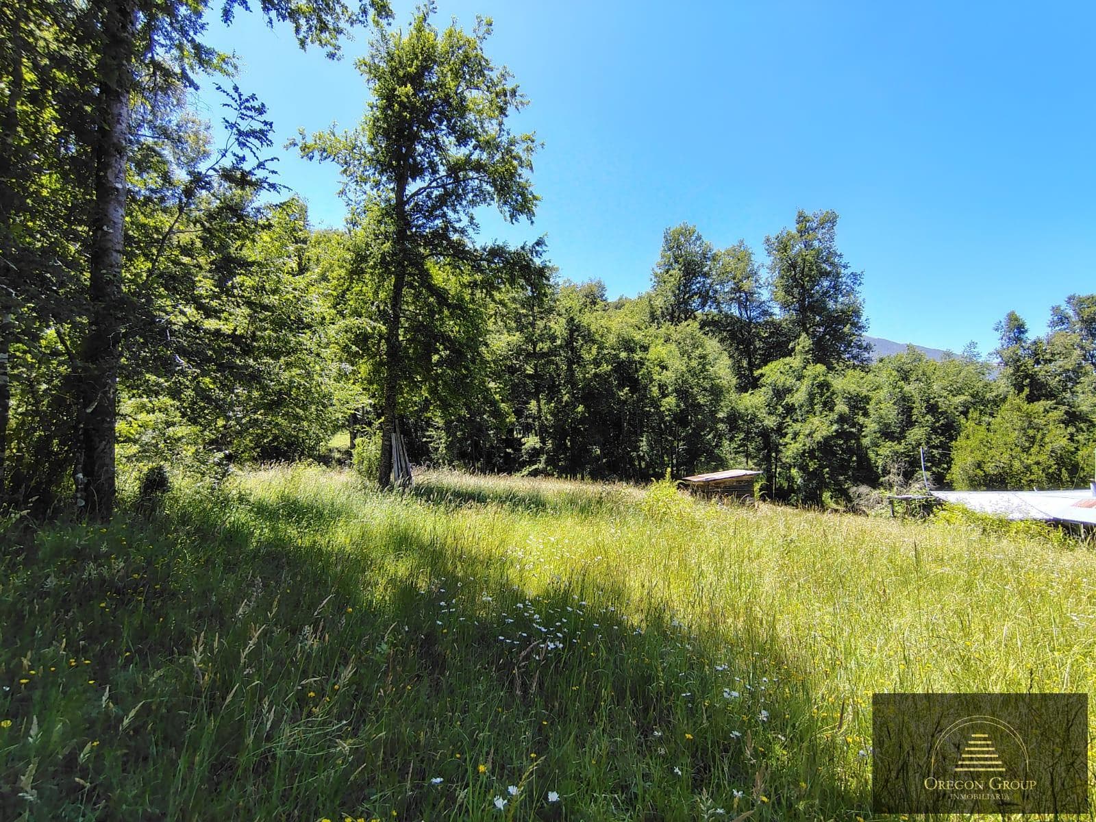 Hectares for sale in Pirehueico, Los Ríos Region, Chile, just a few meters from the Hua Hum Pass