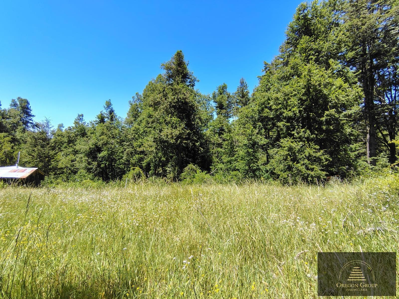 Hectares for sale in Pirehueico, Los Ríos Region, Chile, just a few meters from the Hua Hum Pass