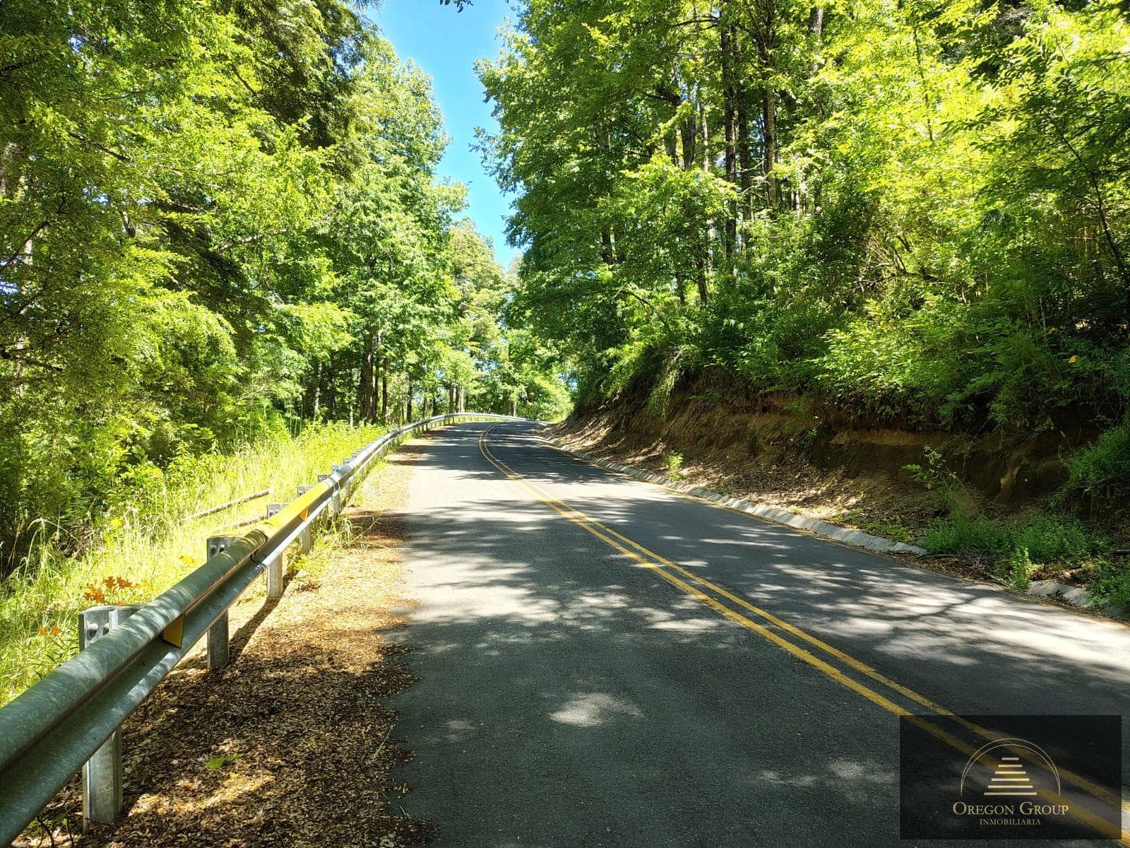 Hectares for sale in Pirehueico, Los Ríos Region, Chile, just a few meters from the Hua Hum Pass