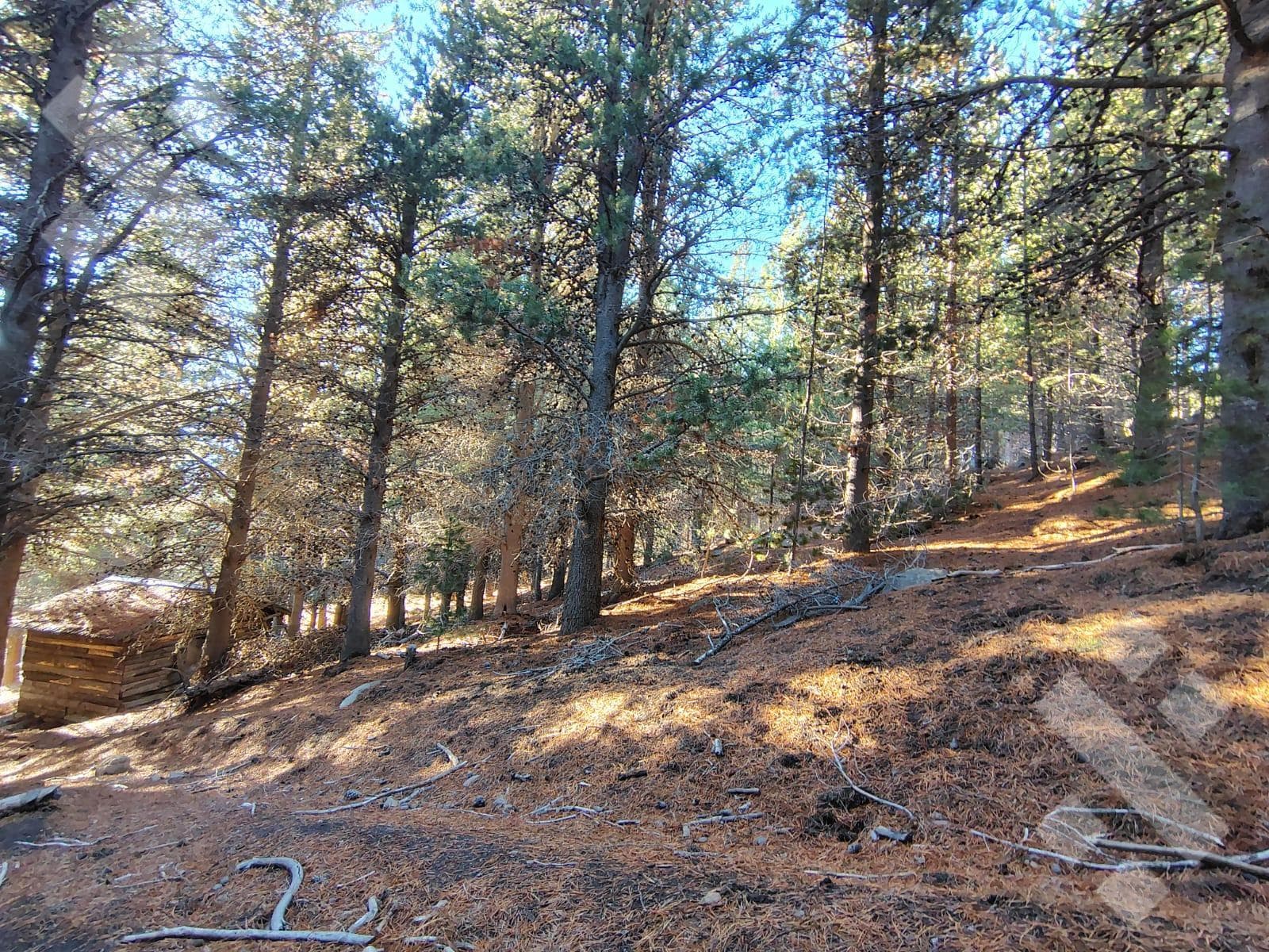 900 m² Lot for Sale - El Remanso Neighborhood - San Martín de los Andes