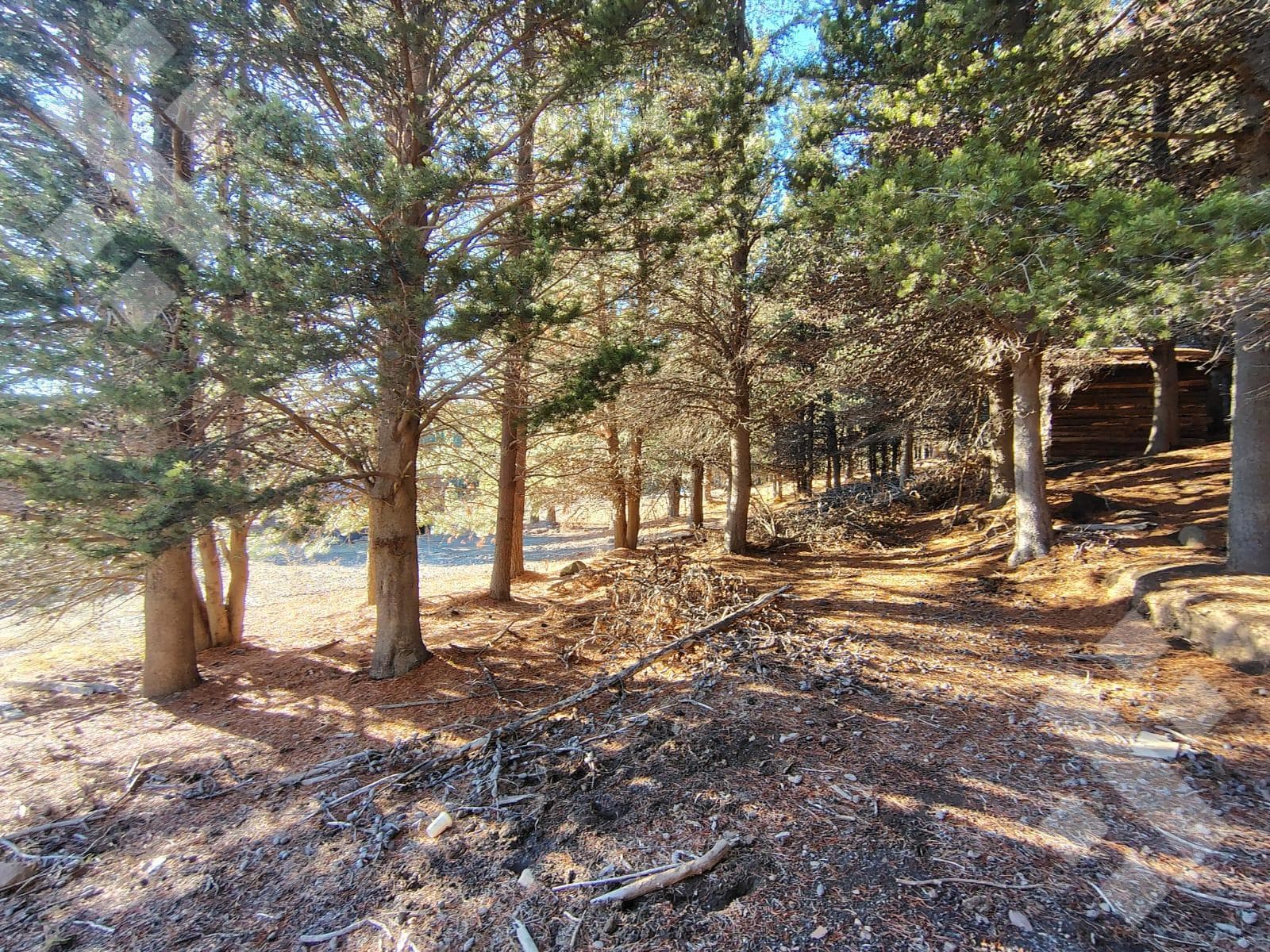 900 m² Lot for Sale - El Remanso Neighborhood - San Martín de los Andes