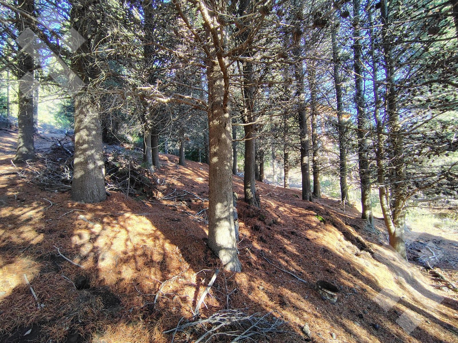 900 m² Lot for Sale - El Remanso Neighborhood - San Martín de los Andes