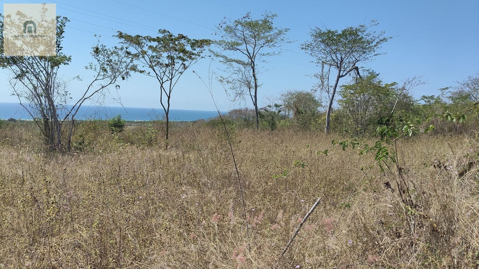 LA ESCOBILLA PROPERTY - PUERTO ESCONDIDO