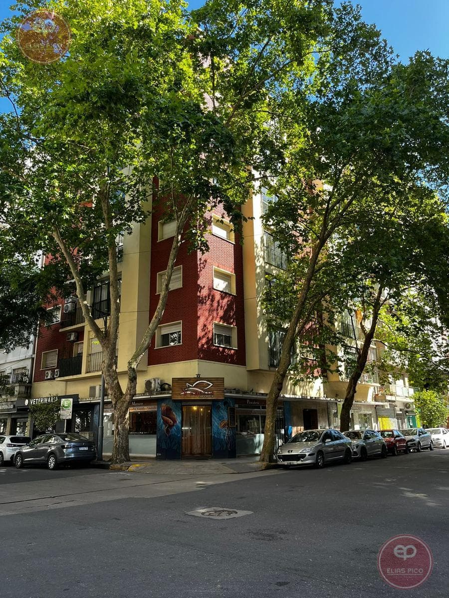 Apartment in Downtown