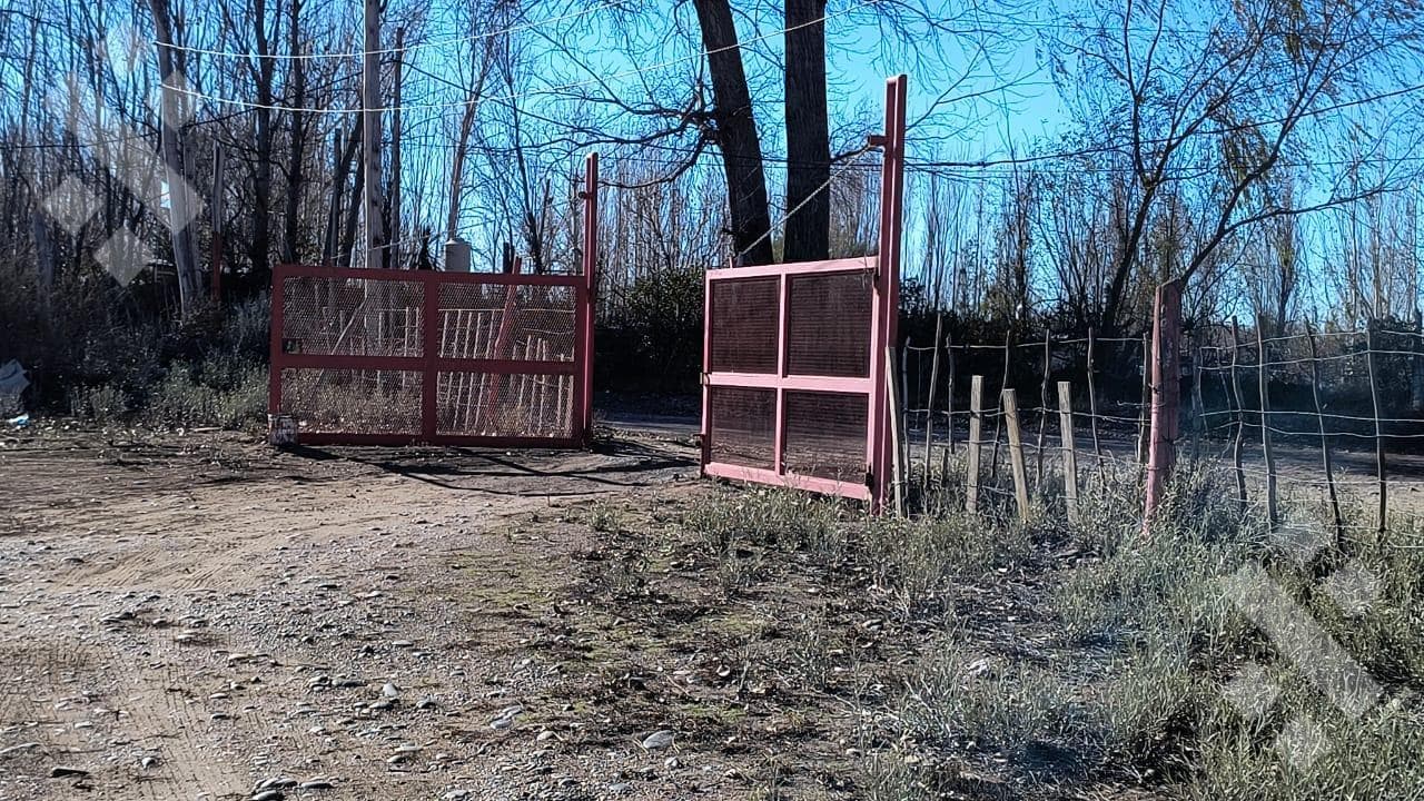 Warehouse in Cipolletti