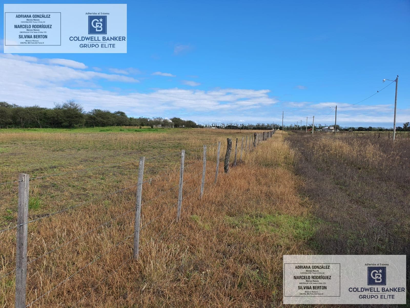 21,160 MTS. OF RURAL LAND FOR SALE IN THE LA SUSANA NEIGHBORHOOD, VILLA MERCEDES, SAN LUIS
