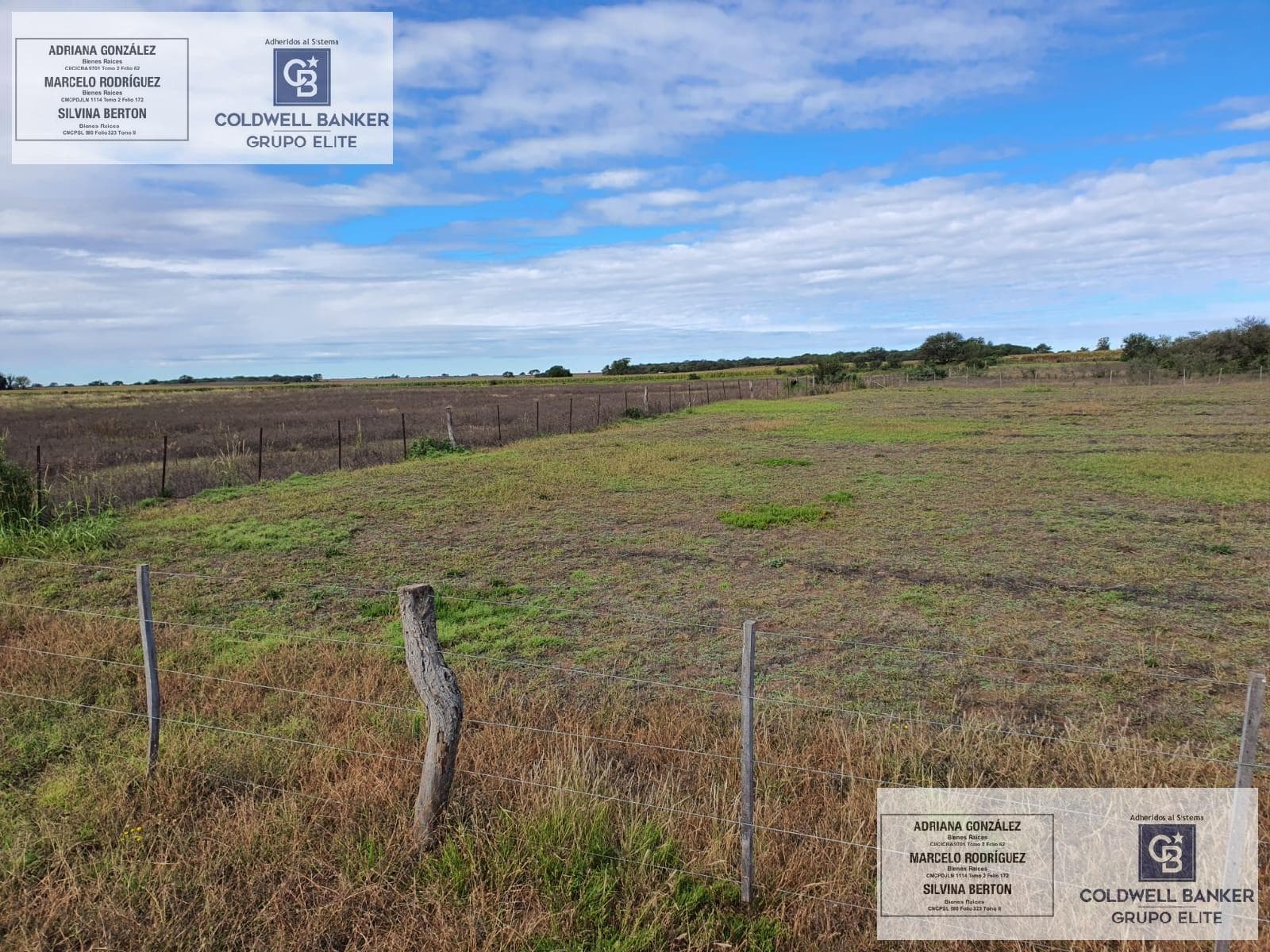 21,160 MTS. OF RURAL LAND FOR SALE IN THE LA SUSANA NEIGHBORHOOD, VILLA MERCEDES, SAN LUIS