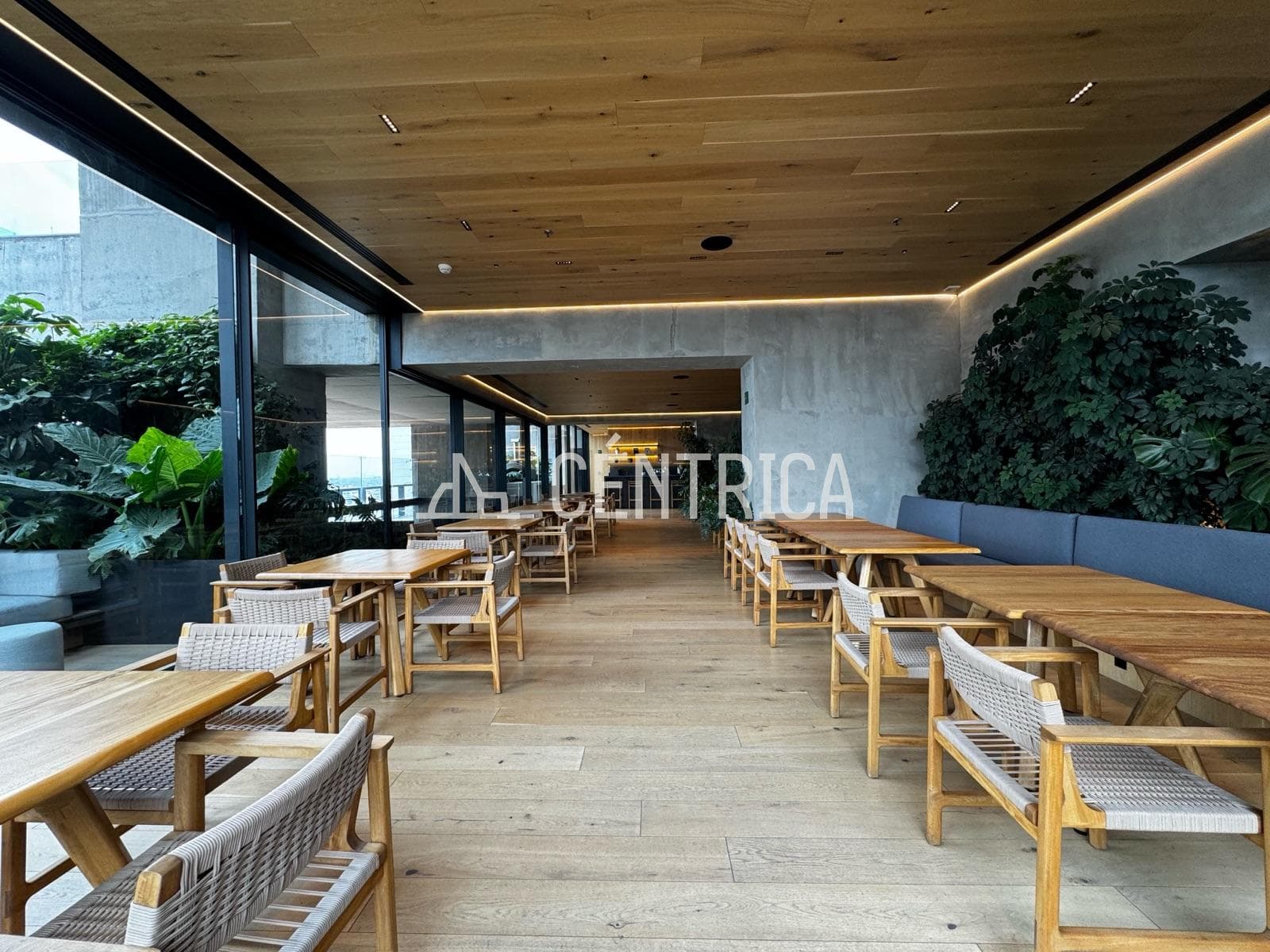 Apartment - Cuauhtémoc Neighborhood
