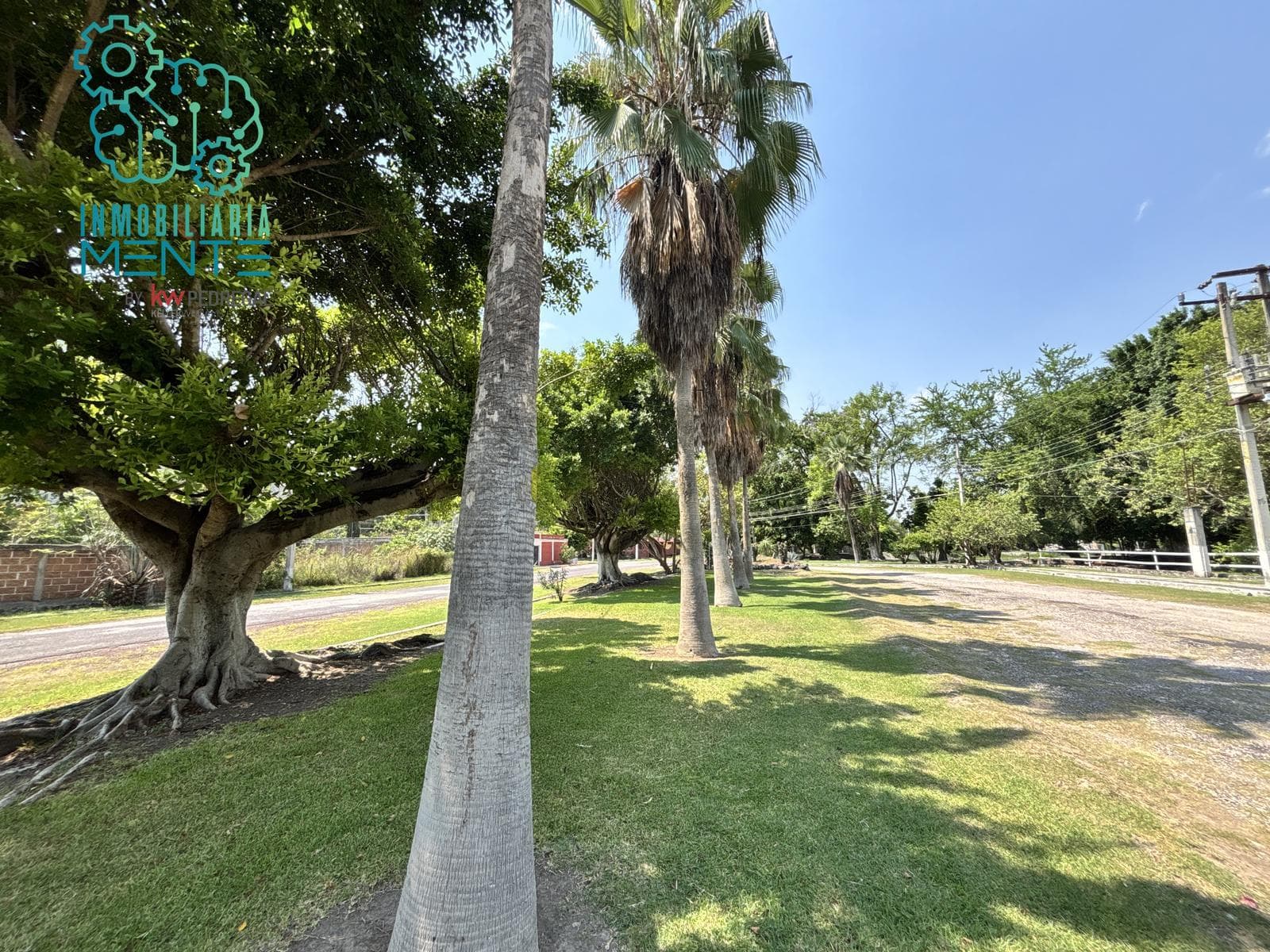 LAND FOR SALE IN THE TICUMAN SUBDIVISION, TLALTIZAPAN, MORELOS.
