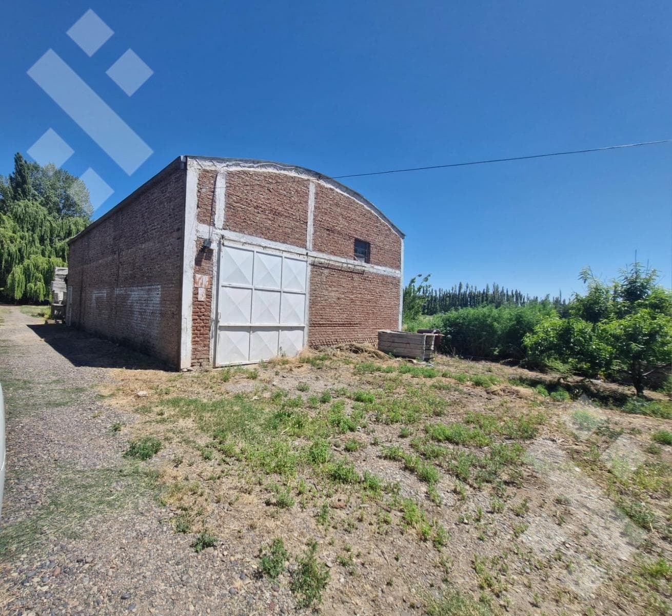 For Sale: Farm - Julio Salto Street - Across from La Nonina - Cipolletti -
