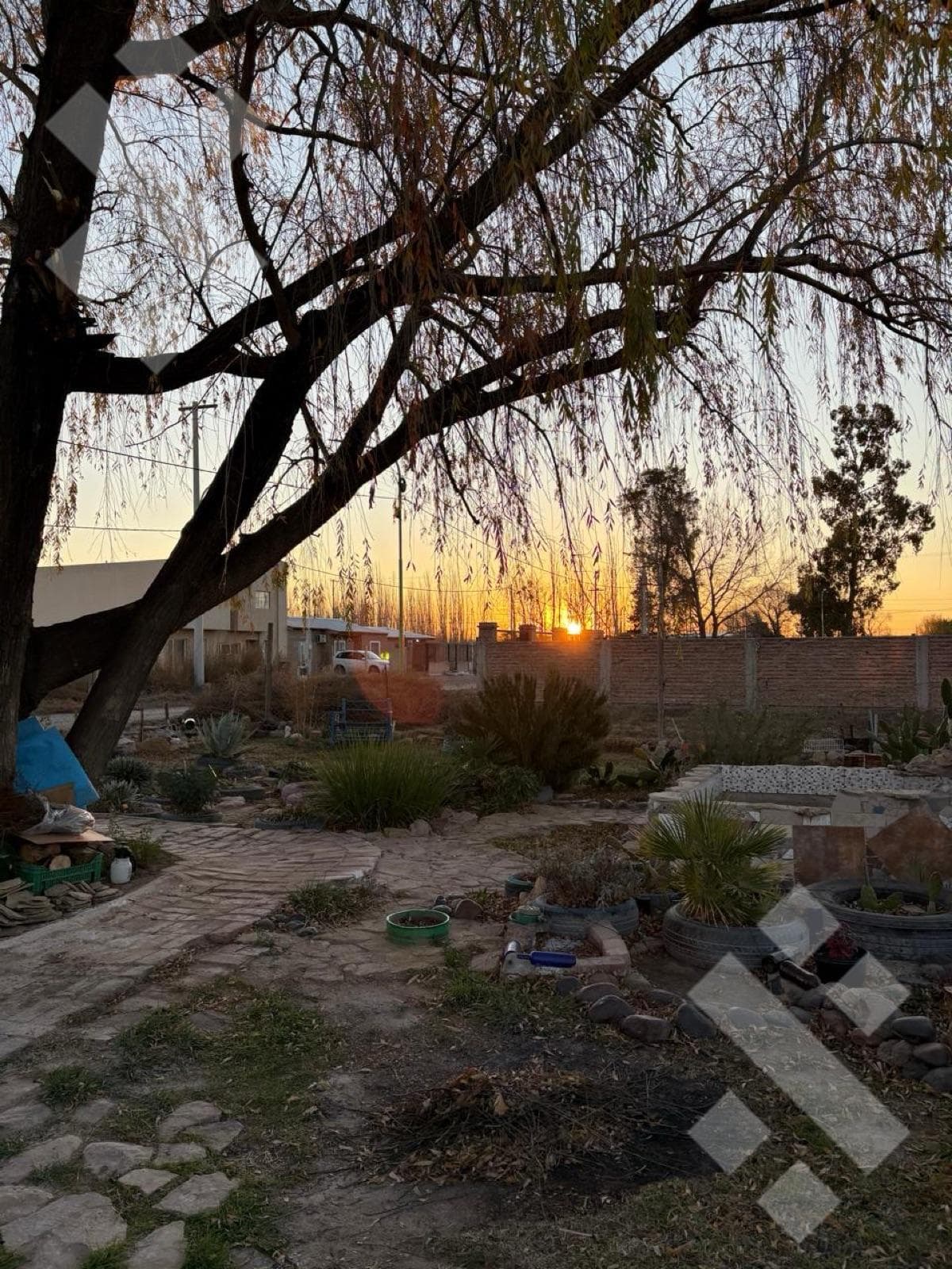 Home - Cinco Saltos