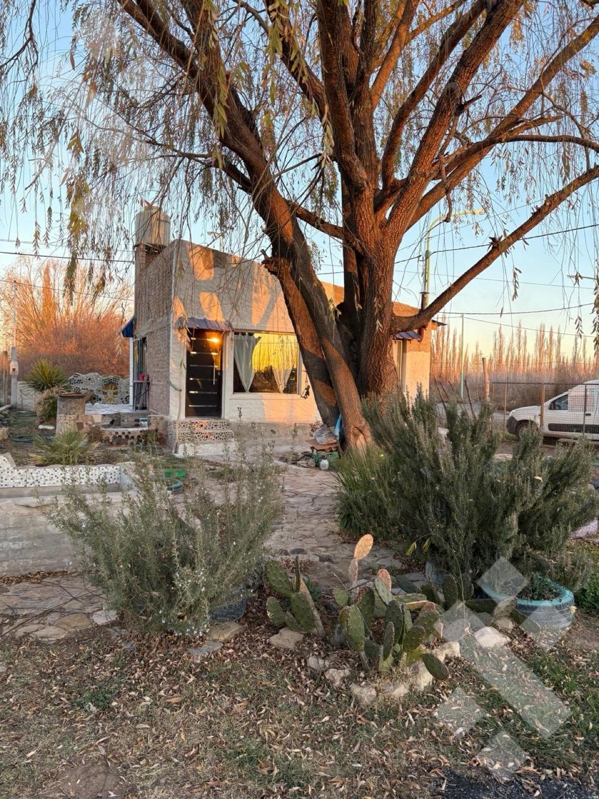 Home - Cinco Saltos