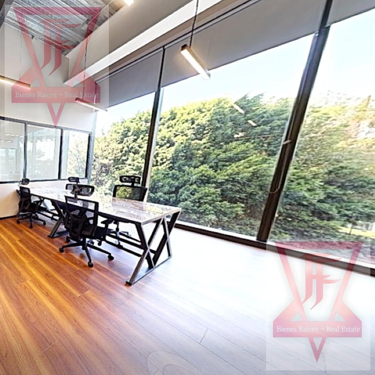 Office for Rent on Insurgentes San Borja in Mexico City - Premium Level - Accommodates up to 12 People!