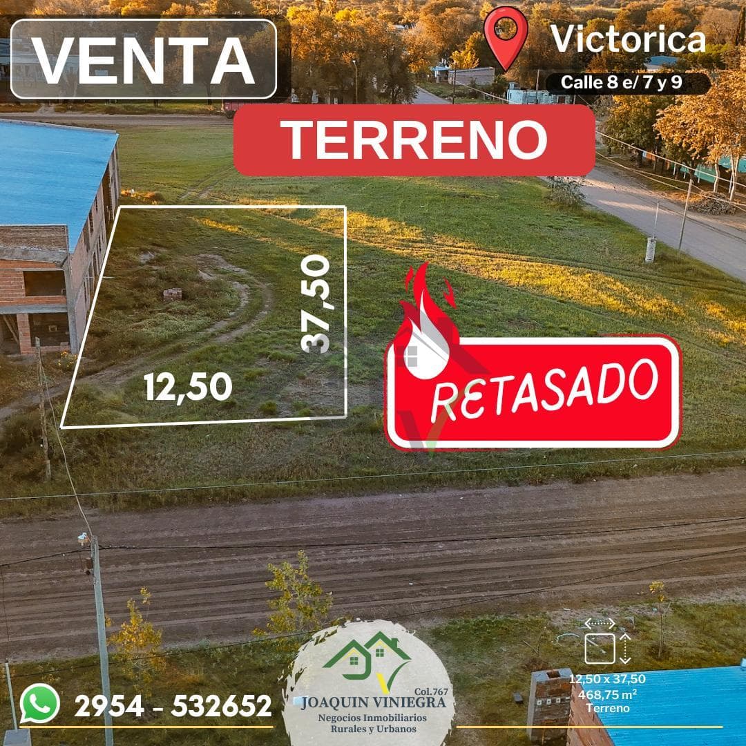 Large Lot for Sale in Victorica