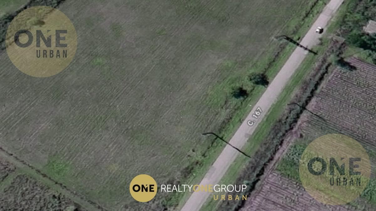 Land in La Plata