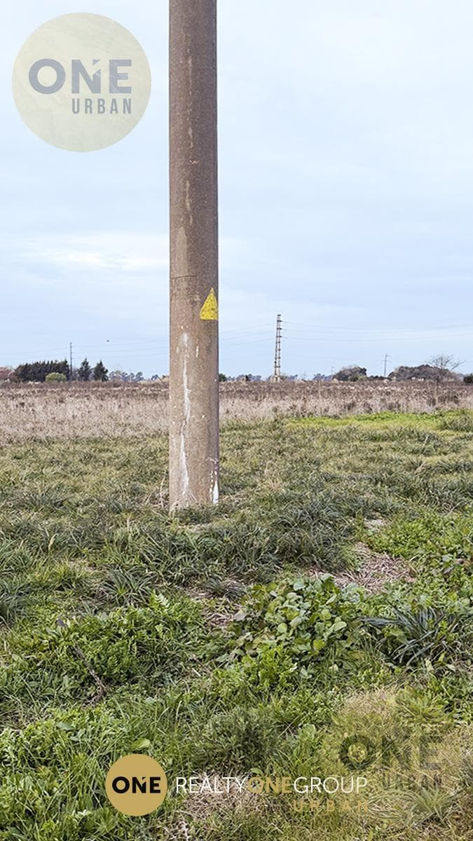 Land in La Plata