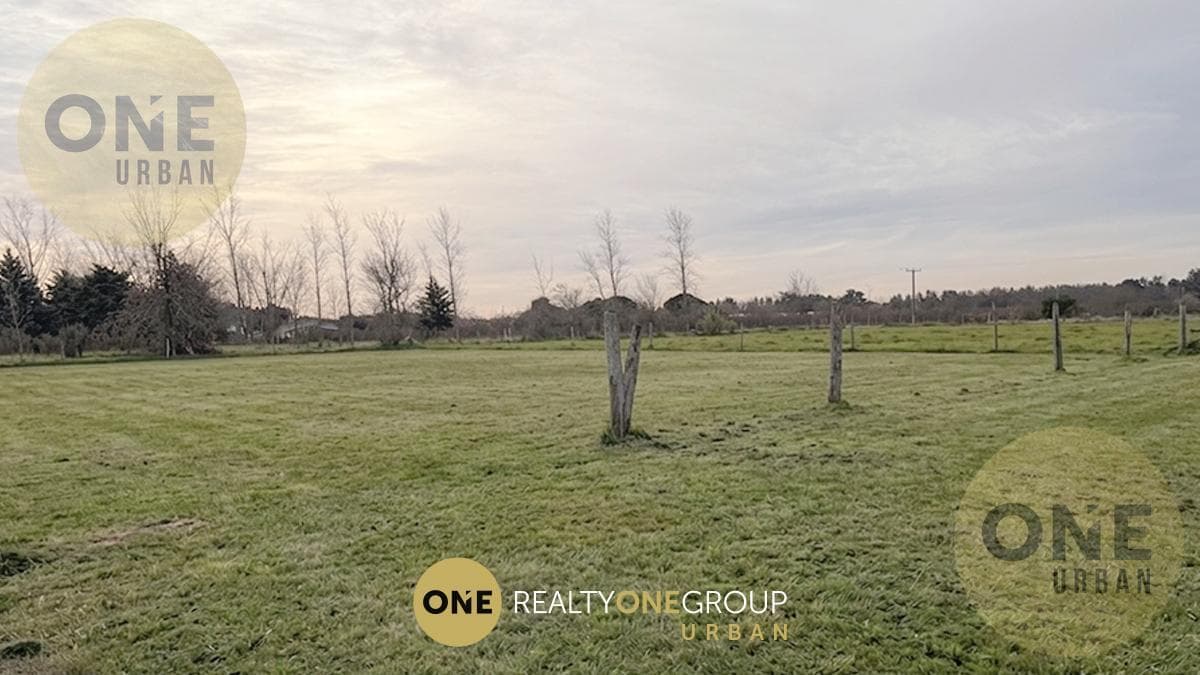 Land in La Plata