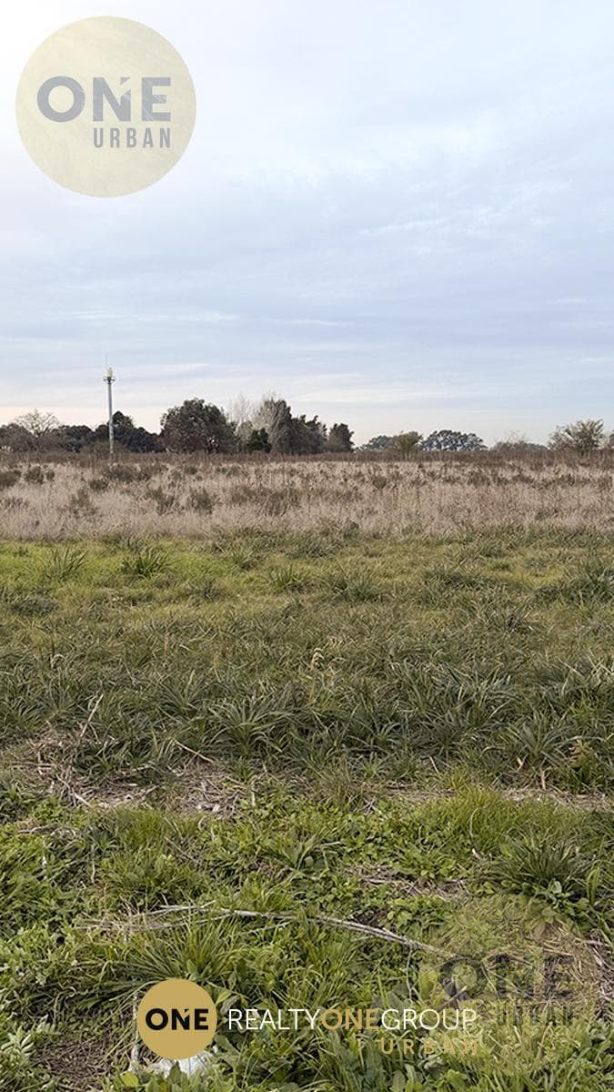 Land in La Plata