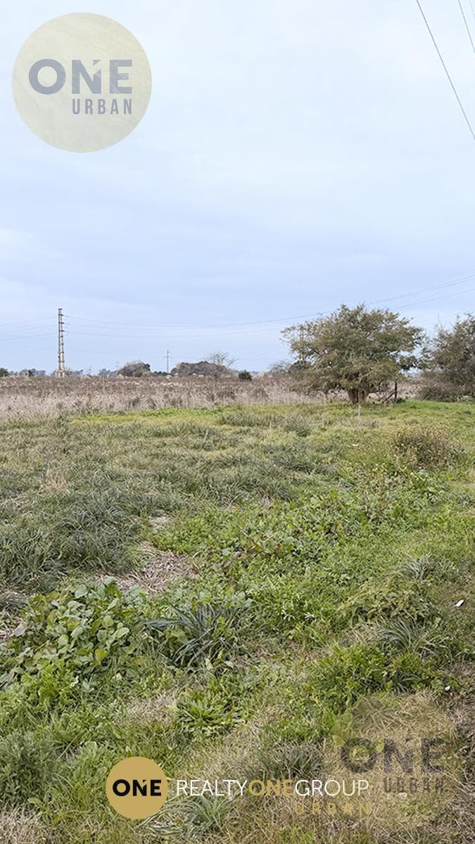 Land in La Plata