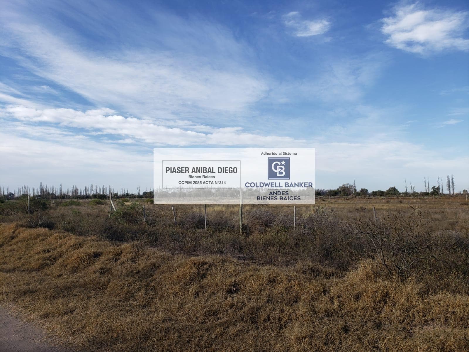 Land. Las Paredes. 1 ha.