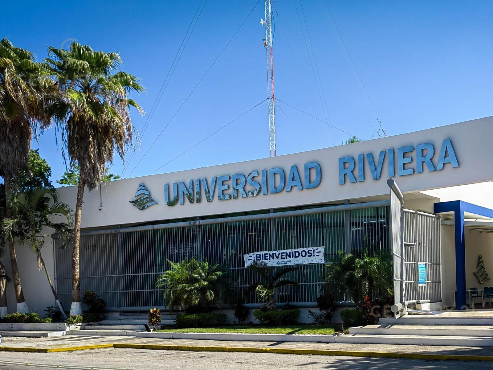 Ground Floor Apartment for Sale | Real Ibiza | Playa del Carmen P4628
