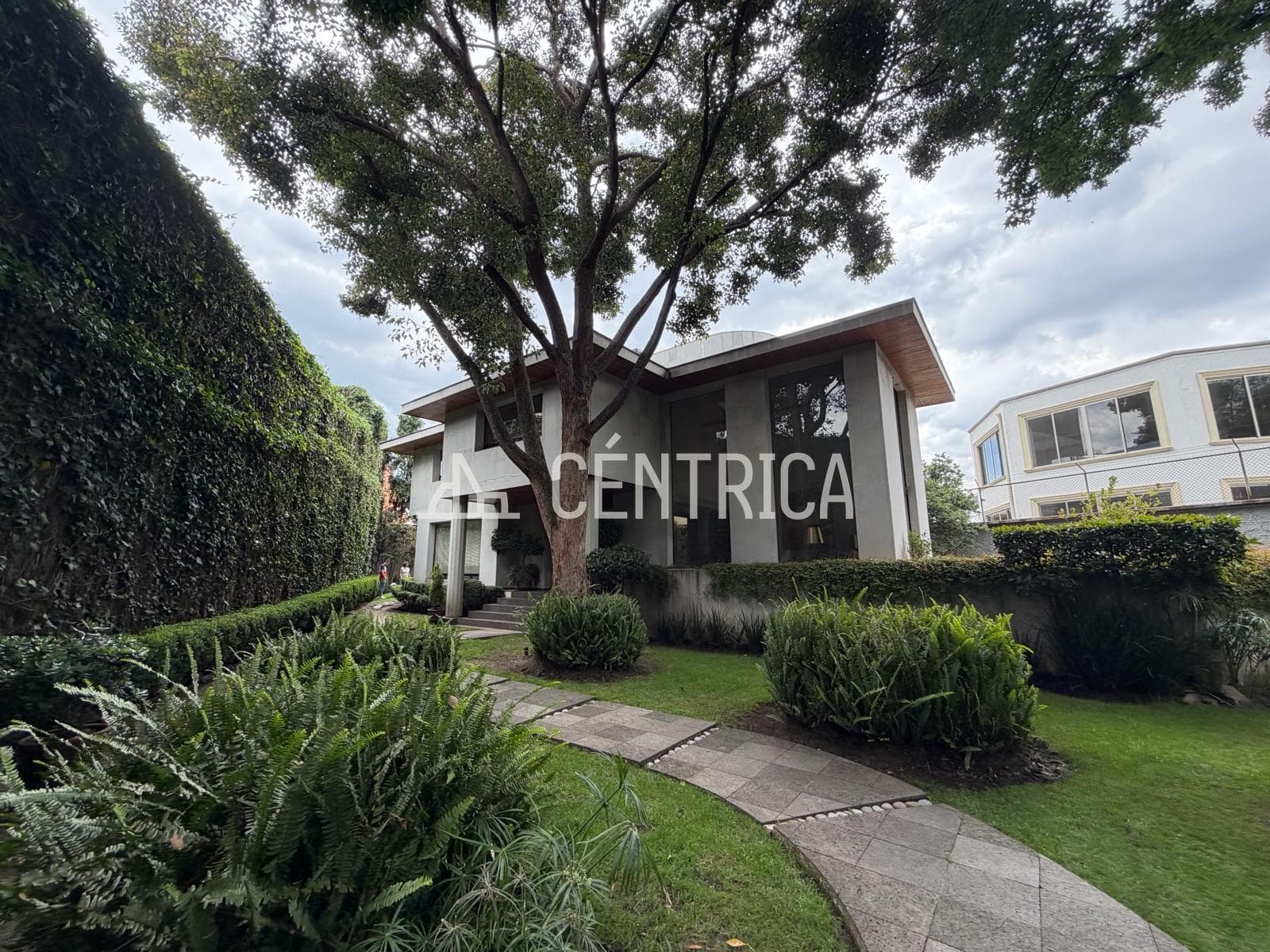 House - Lomas de Chapultepec