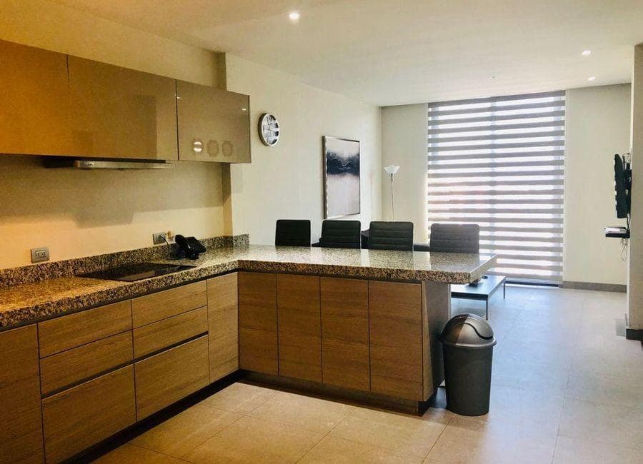 Apartment for Rent in the Valle Oriente Area