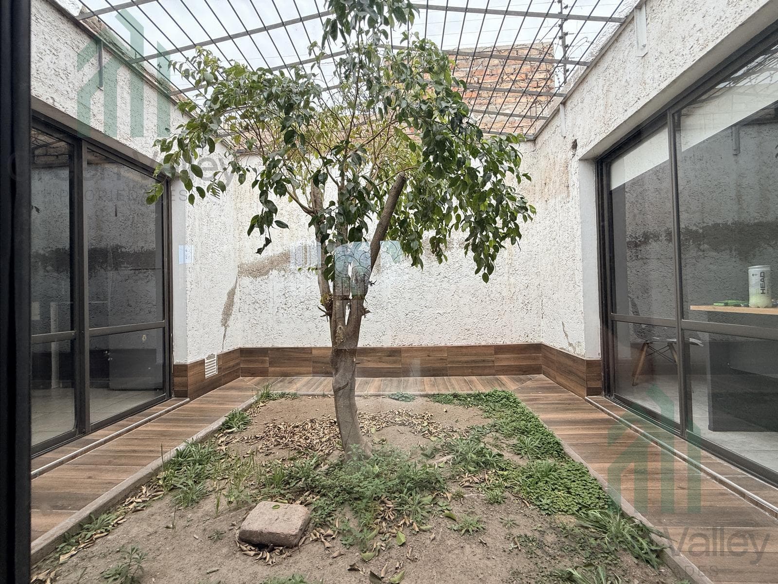 House in Luzuriaga