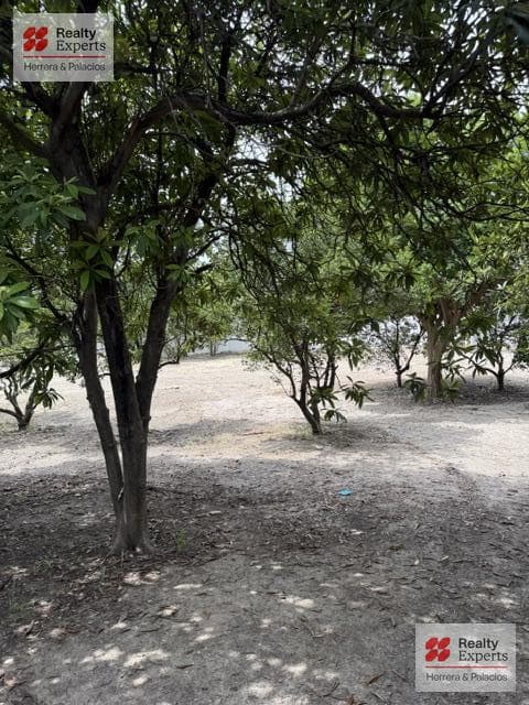 Land for sale in Cadereyta, Jiménez, NL