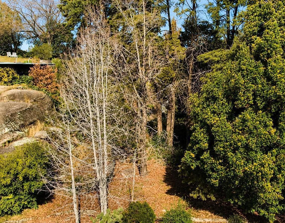 Large Lot for Sale in Villa del Lago, Located on the Highway