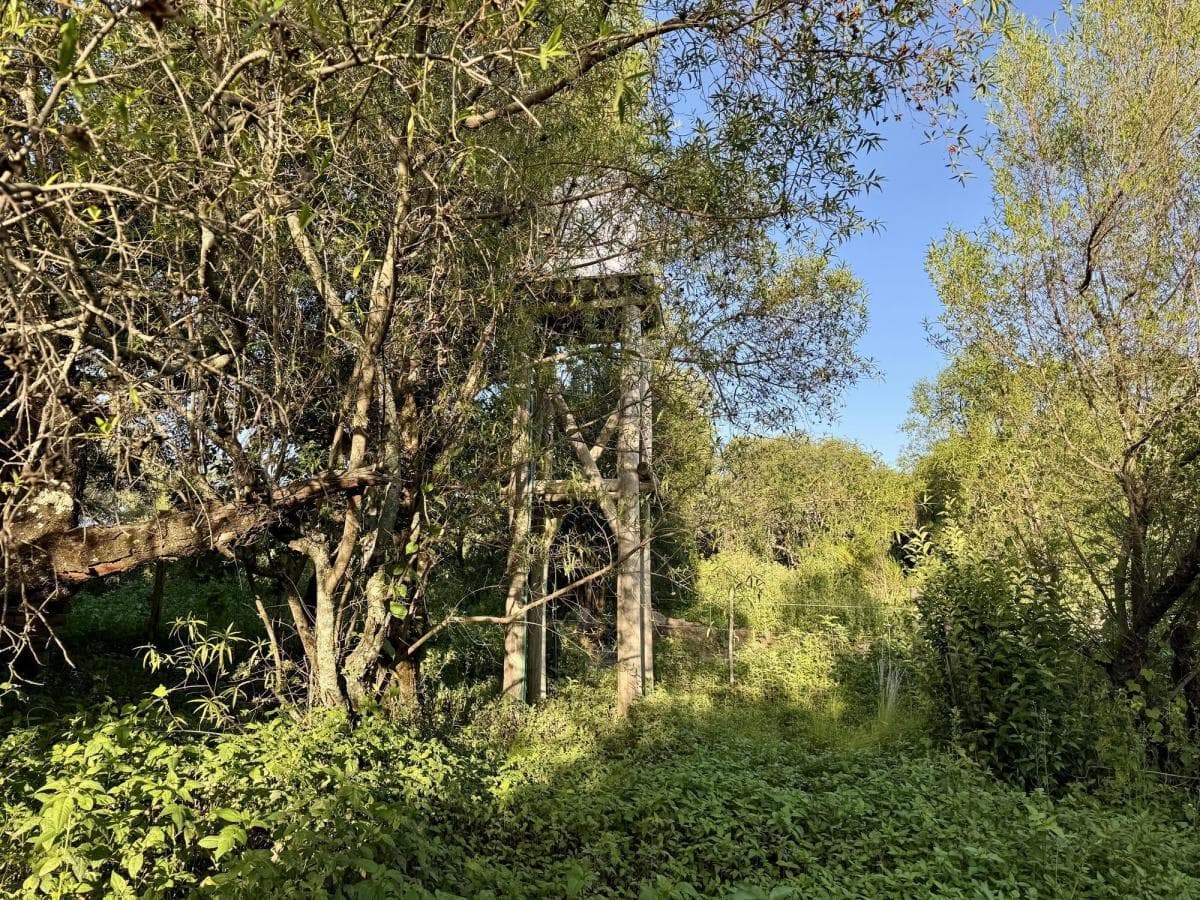COTTAGE FOR SALE IN VILLA ANIMI