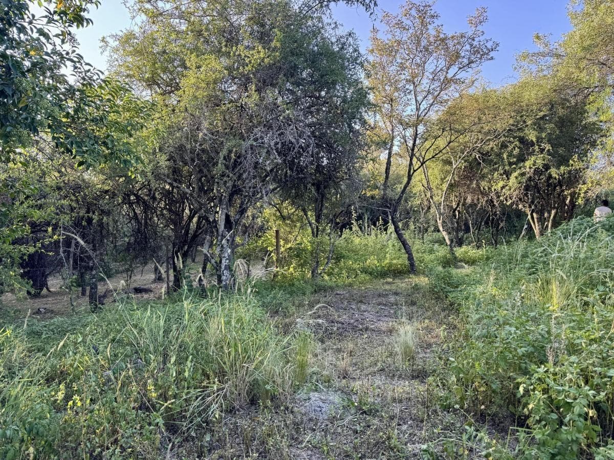 COTTAGE FOR SALE IN VILLA ANIMI