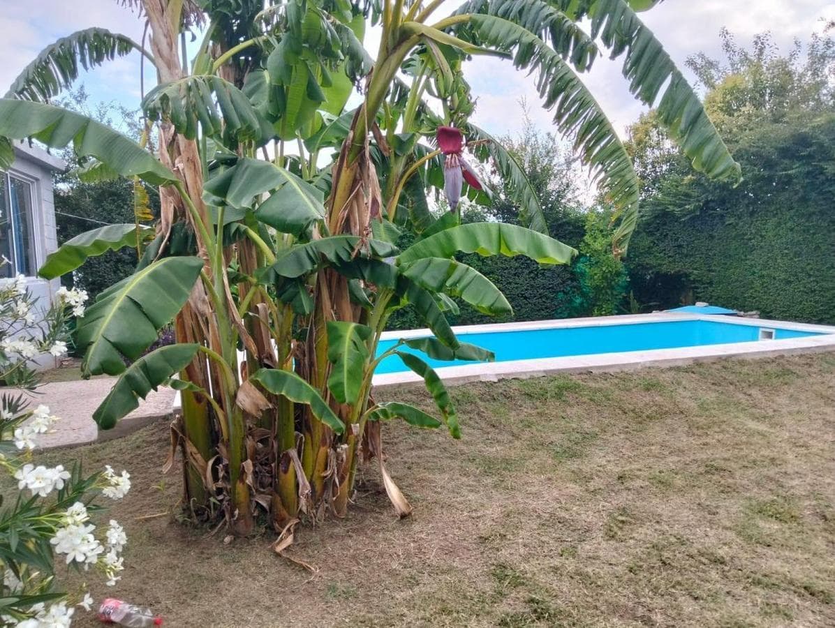 HOUSE FOR SALE IN ANISACATE: 3 BEDROOMS, EXCELLENT LOCATION