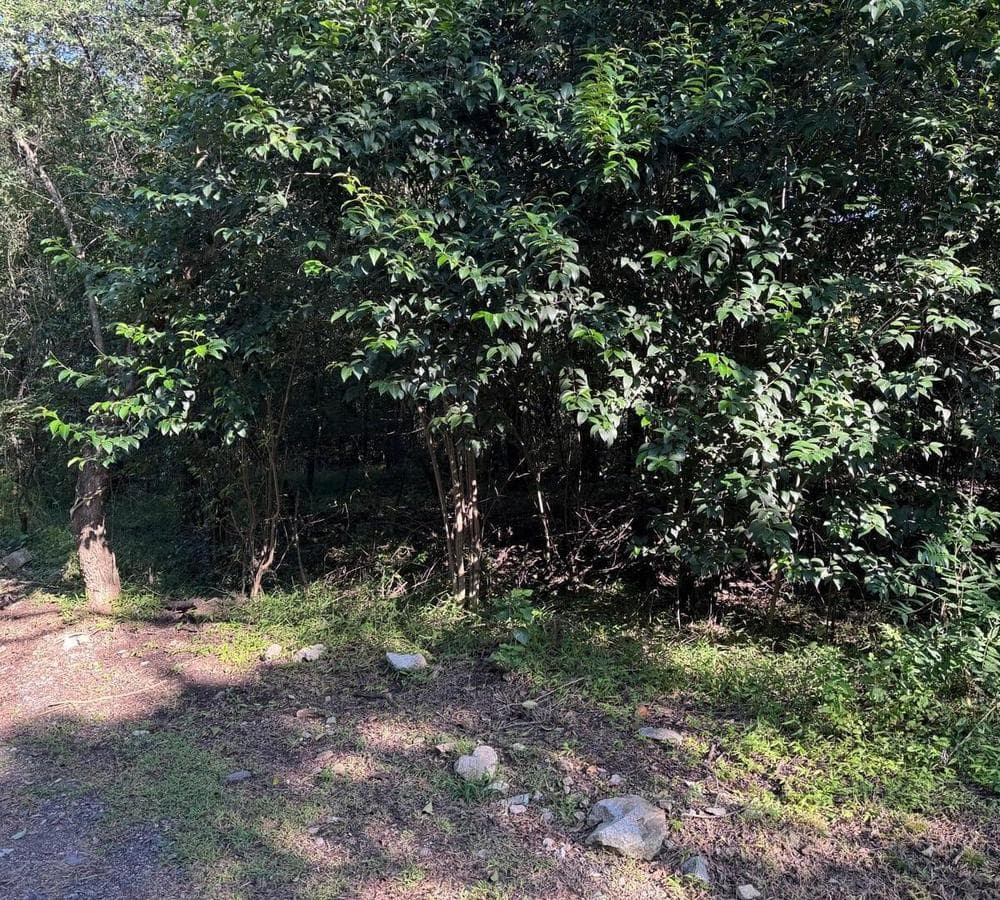 Unique 1,600 m² lot for sale in Estancia San Miguel, Río Ceballos!